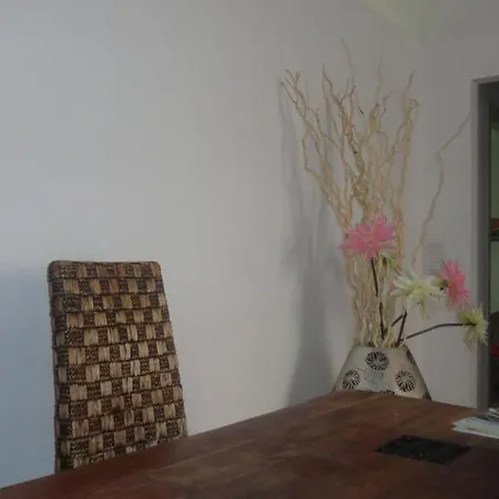 Il Bonsai Pisa